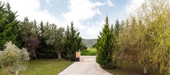 5 bedrooms House in Santarem, Portugal No. 140290 4