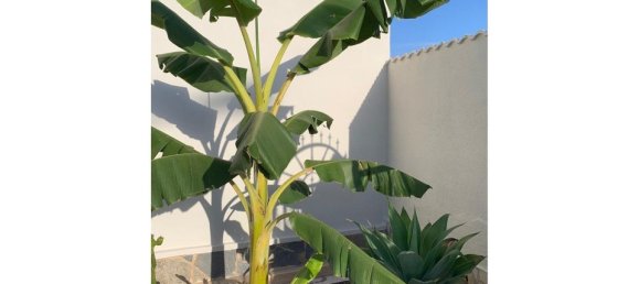 4 bedrooms Villa in Ciudad Quesada, Spain No. 176556 13