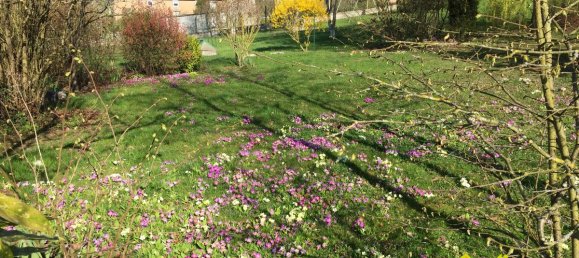 4 غرف نوم منزل في Pont-a-Mousson, France رقم 92177 10