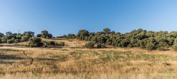  Land in Navalcarnero, Spain No. 113239 5