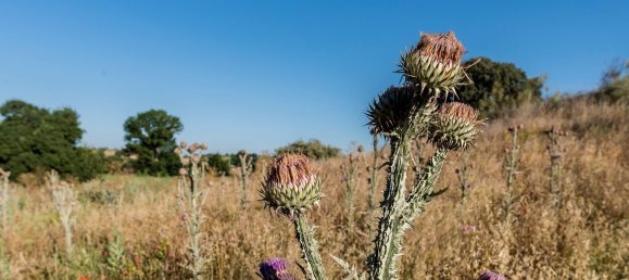  Land in Navalcarnero, Spain No. 113239 24