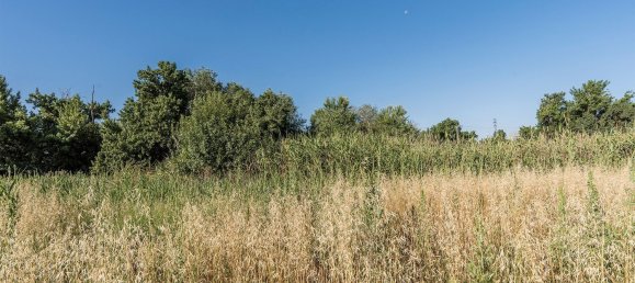  Land in Navalcarnero, Spain No. 113239 33