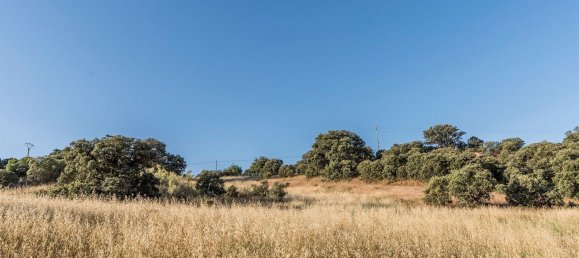  Land in Navalcarnero, Spain No. 113239 9