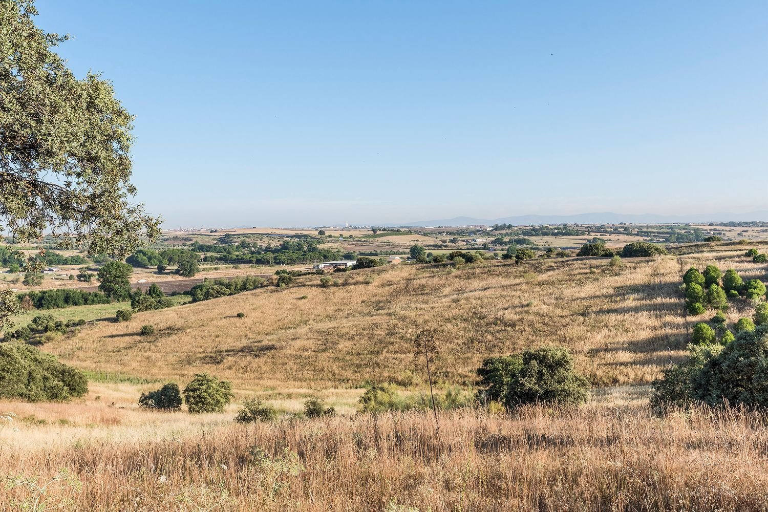  Land in Navalcarnero, Spain No. 113239