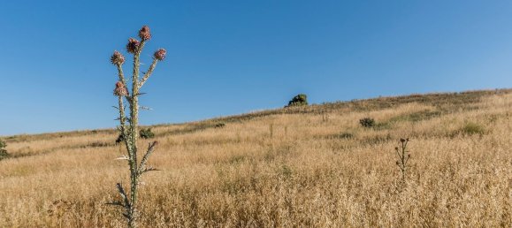  Land in Navalcarnero, Spain No. 113239 16