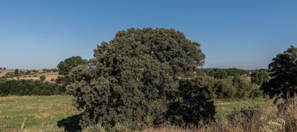  Land in Navalcarnero, Spain No. 113239 29