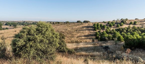  Land in Navalcarnero, Spain No. 113239 44