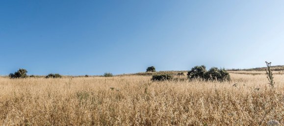  Land in Navalcarnero, Spain No. 113239 15