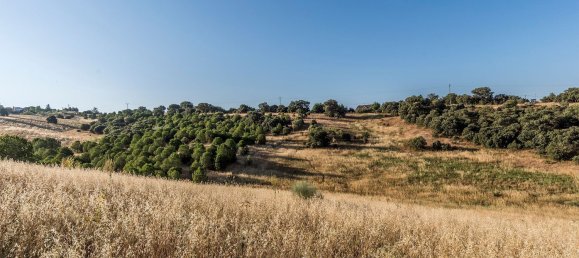  Land in Navalcarnero, Spain No. 113239 17