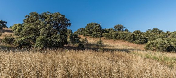  Land in Navalcarnero, Spain No. 113239 10