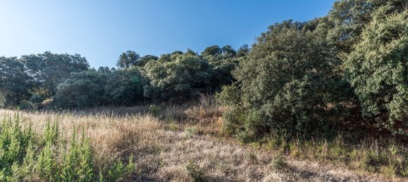  Land in Navalcarnero, Spain No. 113239 21