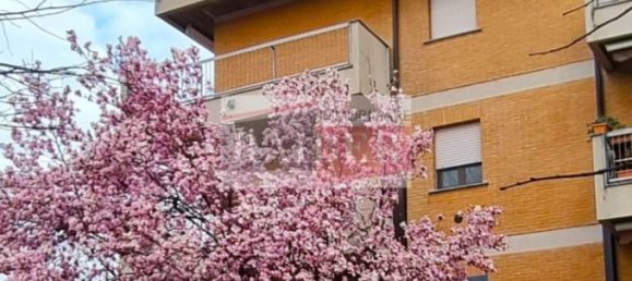 3 bedrooms Apartment in Rozzano, Italy No. 59885 44