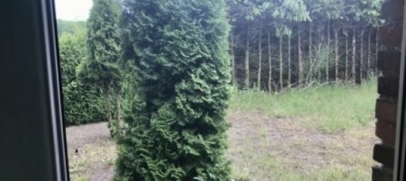 3 غرف نوم منزل في Demmin, Germany رقم 14445 29