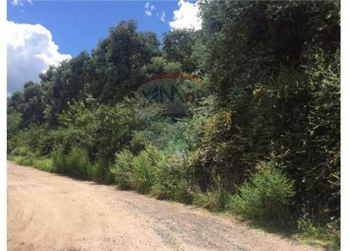  Land in Pilar, Argentina No. 49733