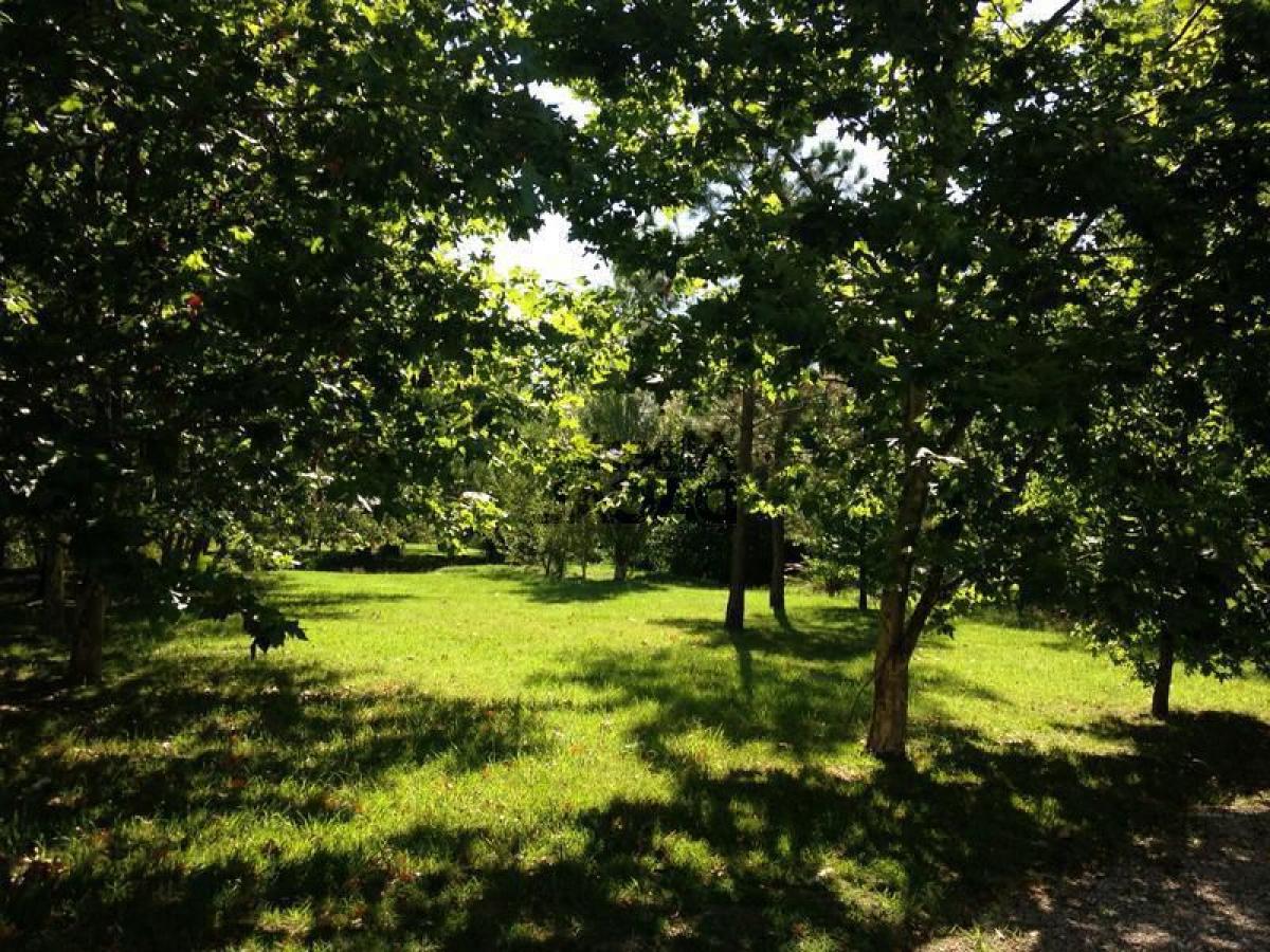  Land in Campo Creado, Argentina No. 43391