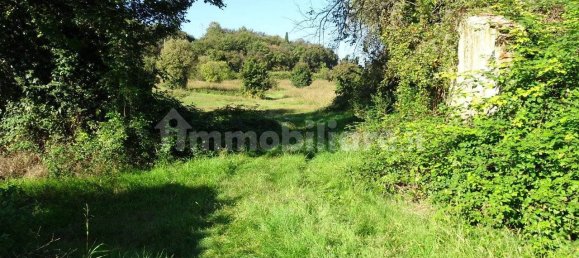 4 bedrooms House in Monteviale, Italy No. 179175 10