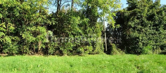 4 bedrooms House in Monteviale, Italy No. 179175 6