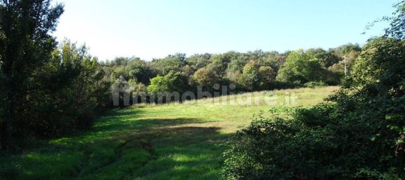 4 bedrooms House in Monteviale, Italy No. 179175 2