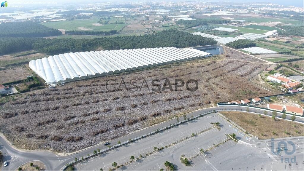 10000m² Land in Torres Vedras, Portugal No. 204924