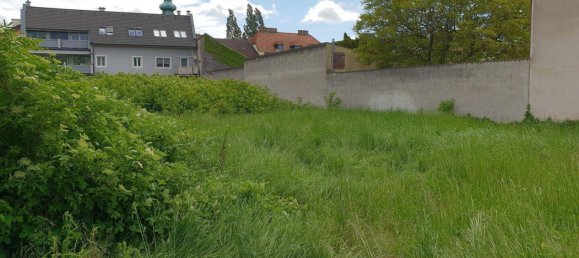 748m² Land in Traiskirchen, Austria No. 228560 3