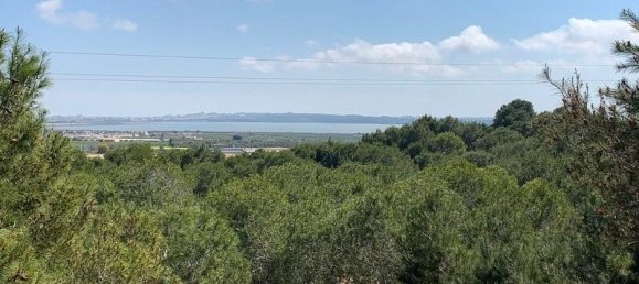 6 bedrooms Villa in Guardamar del Segura, Spain No. 60941 33