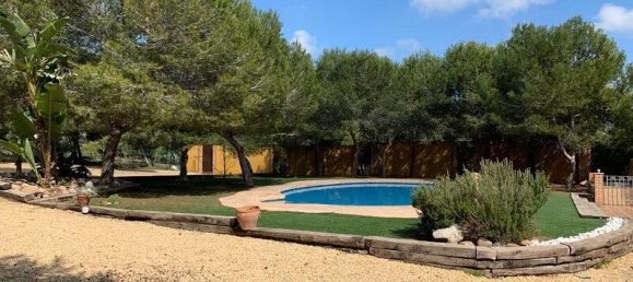 6 bedrooms Villa in Guardamar del Segura, Spain No. 60941 39