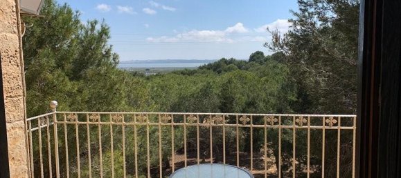 6 bedrooms Villa in Guardamar del Segura, Spain No. 60941 40