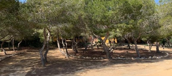 6 bedrooms Villa in Guardamar del Segura, Spain No. 60941 34