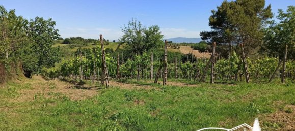 1540m² Land in Castiglione del Lago, Italy No. 371877 3