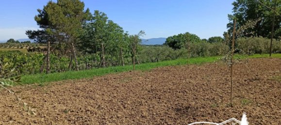 1540m² Land in Castiglione del Lago, Italy No. 371877 2