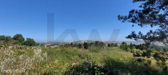 Grundstück in Mafra, Portugal 11062m², Nr. 259056 17