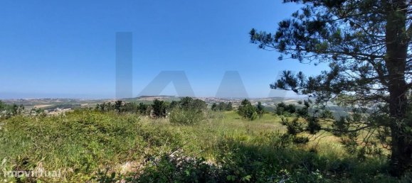 Grundstück in Mafra, Portugal 11062m², Nr. 259056 14