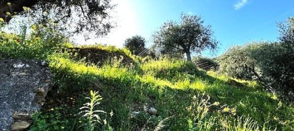 Земельный участок 1500м² в Таджа, Италия № 236172 7