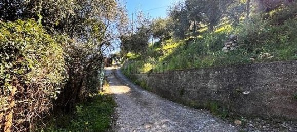 Земельный участок 1500м² в Таджа, Италия № 236172 4