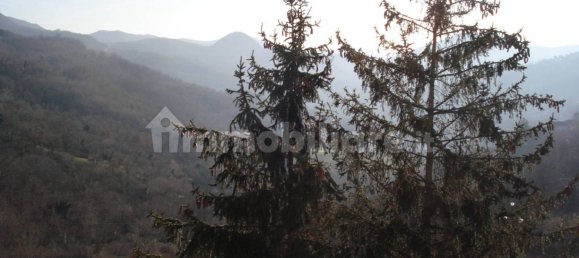 1 chambre Appartement à Serra Riccò, Italy No. 222154 3