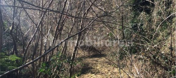 Земельный участок 1380м² в Маркироло, Италия № 319485 4