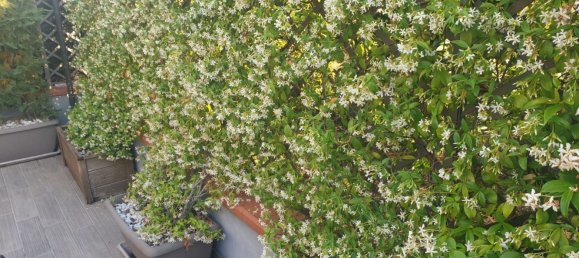 4 bedrooms Villa in Teano, Italy No. 334761 18