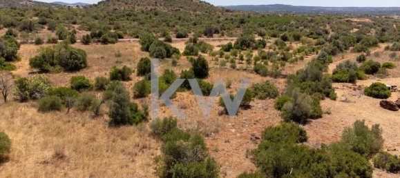  قطعة أرض في Sao Bartolomeu de Messines, Portugal 4200متر مربع رقم 61159 8