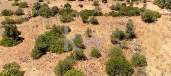  قطعة أرض في Sao Bartolomeu de Messines, Portugal 4200متر مربع رقم 61159 10