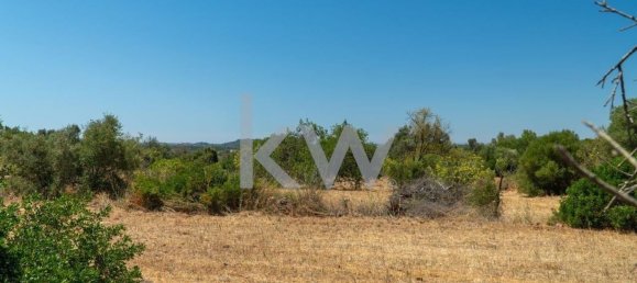  قطعة أرض في Sao Bartolomeu de Messines, Portugal 4200متر مربع رقم 61159 5