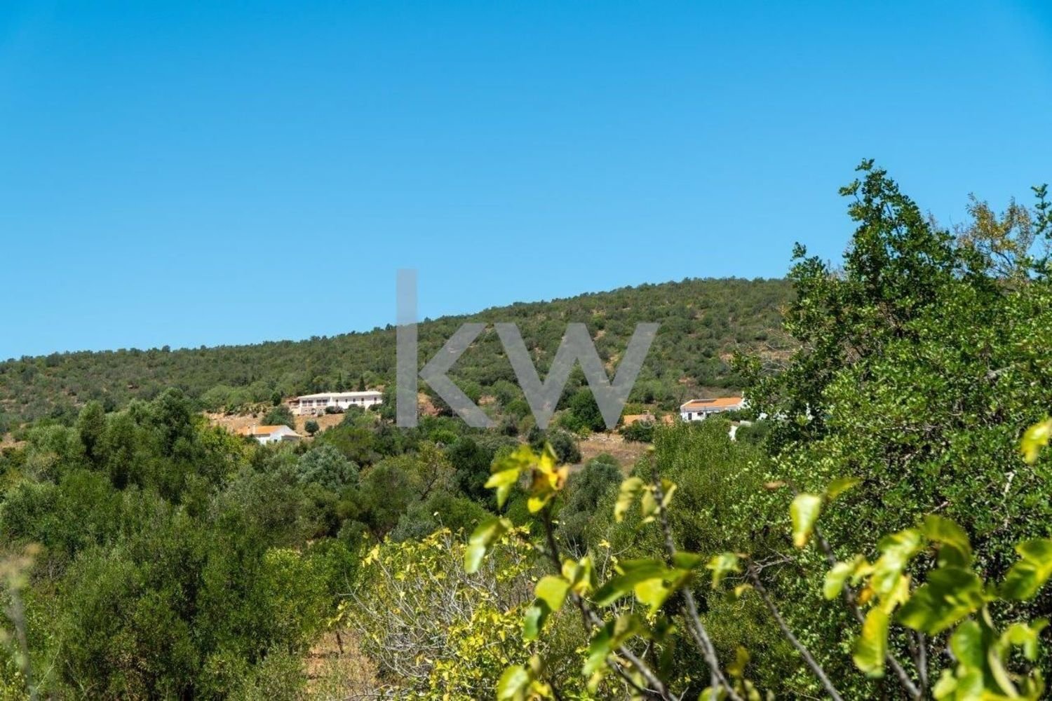  قطعة أرض في Sao Bartolomeu de Messines, Portugal 4200متر مربع رقم 61159