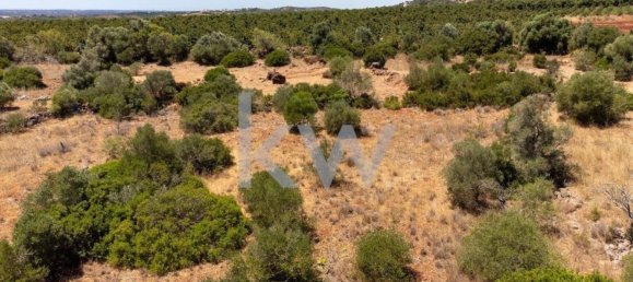  قطعة أرض في Sao Bartolomeu de Messines, Portugal 4200متر مربع رقم 61159 12