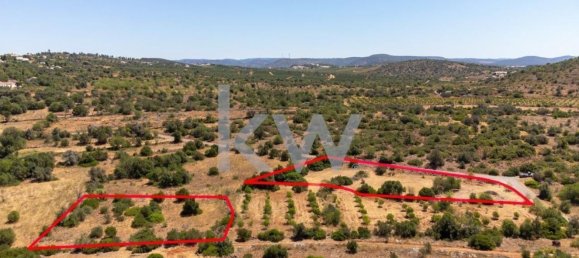  قطعة أرض في Sao Bartolomeu de Messines, Portugal 4200متر مربع رقم 61159 19