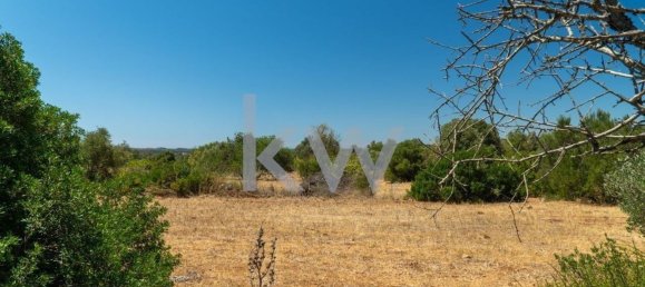  قطعة أرض في Sao Bartolomeu de Messines, Portugal 4200متر مربع رقم 61159 4