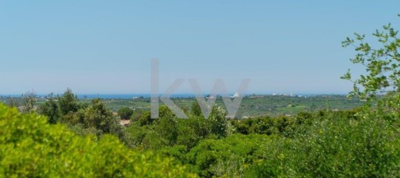  قطعة أرض في Sao Bartolomeu de Messines, Portugal 4200متر مربع رقم 61159 6