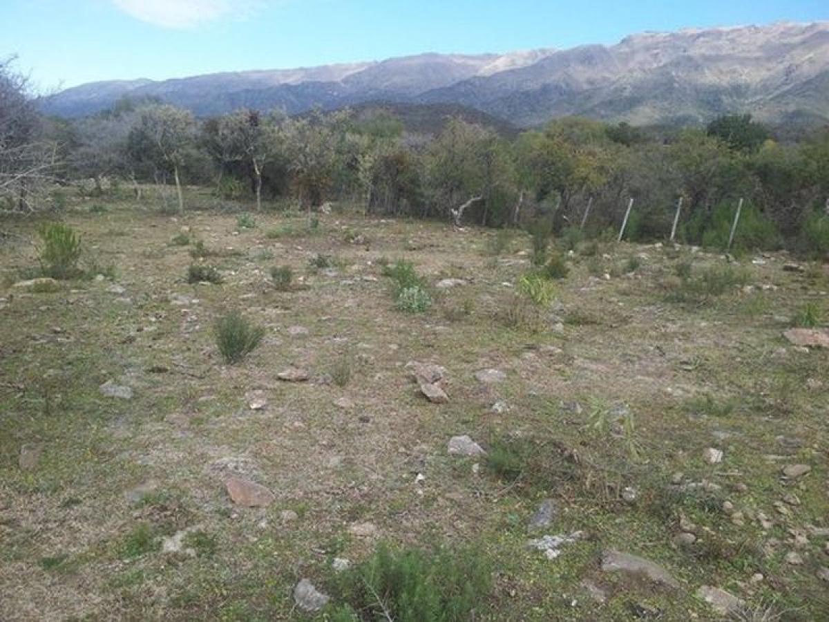 Terreno em San Luis, Argentina N.º 50537