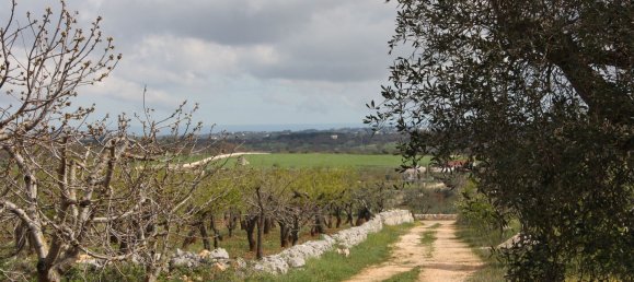 3 rooms House in Castellana Grotte, Italy No. 78910 32