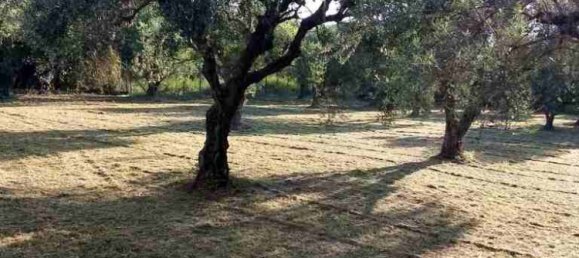 3 bedrooms Commercial property in Aetolia-Acarnania, Greece No. 2064 4