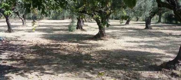 3 bedrooms Commercial property in Aetolia-Acarnania, Greece No. 2064 15