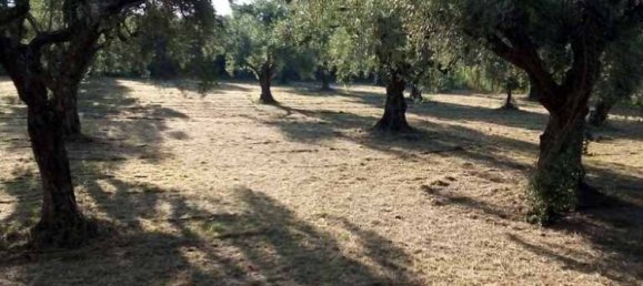 3 bedrooms Commercial property in Aetolia-Acarnania, Greece No. 2064 3